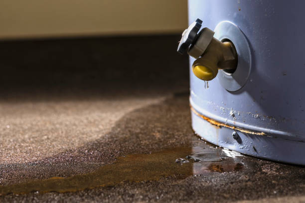 Best 24-hour water damage restoration  in Whiting, WI