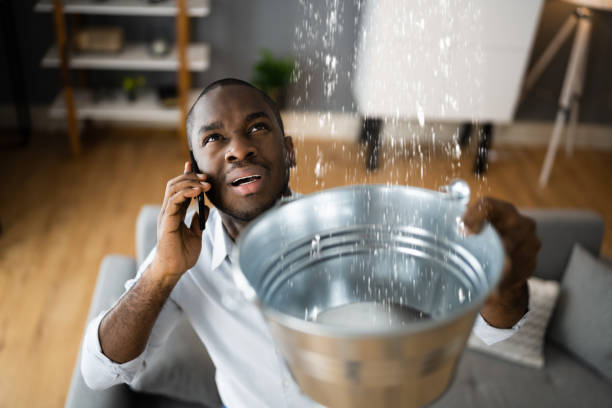 Best Residential water damage restoration  in Whiting, WI