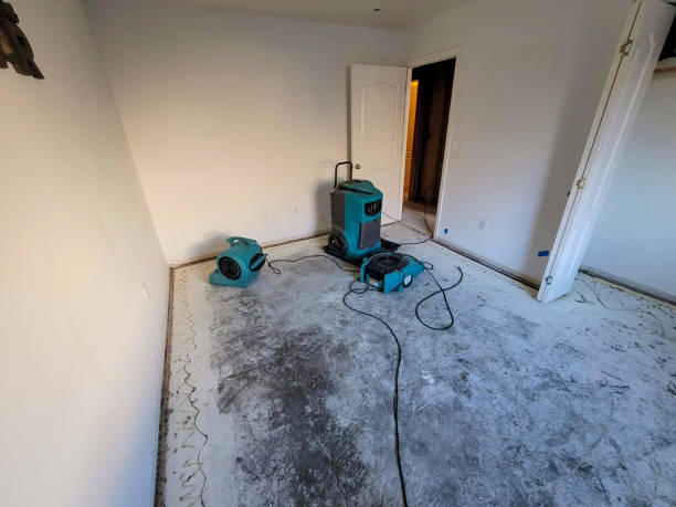 Best Professional water damage repair  in Whiting, WI