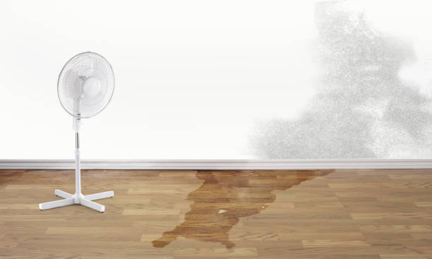 Best Flooded house restoration  in Whiting, WI