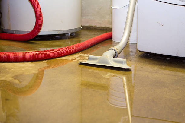 Best 24/7 water damage repair  in Whiting, WI
