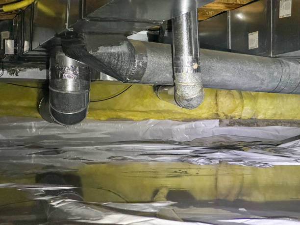 Best Basement water damage restoration  in Whiting, WI