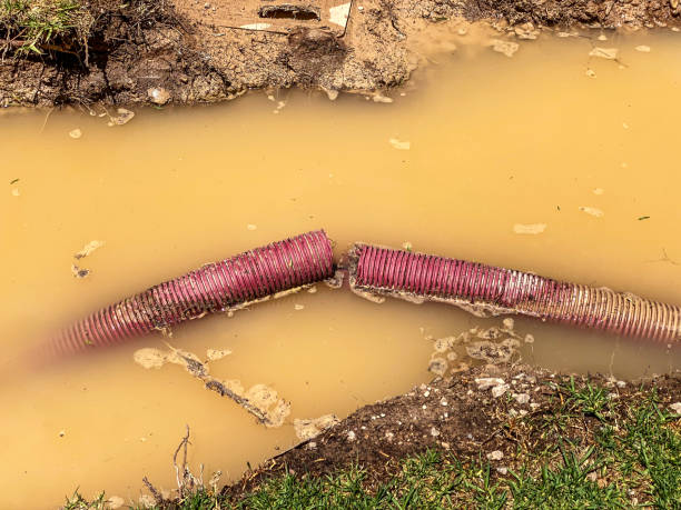 Best Local water damage restoration  in Whiting, WI