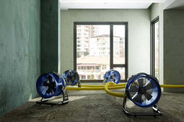 Best Water damage mitigation services  in Whiting, WI